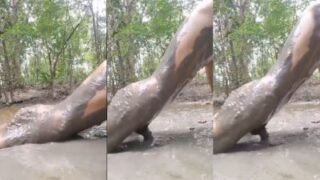 Cowok Kesepian Ketagihan Seks, Ngentot Di Kubangan Lumpur Dalam Video Dewasa