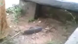 Desi Video Mesum Di Luar Rumah, Istri Jalang Lagi Ngentot Sama Selingkuhannya, Bikin Basah